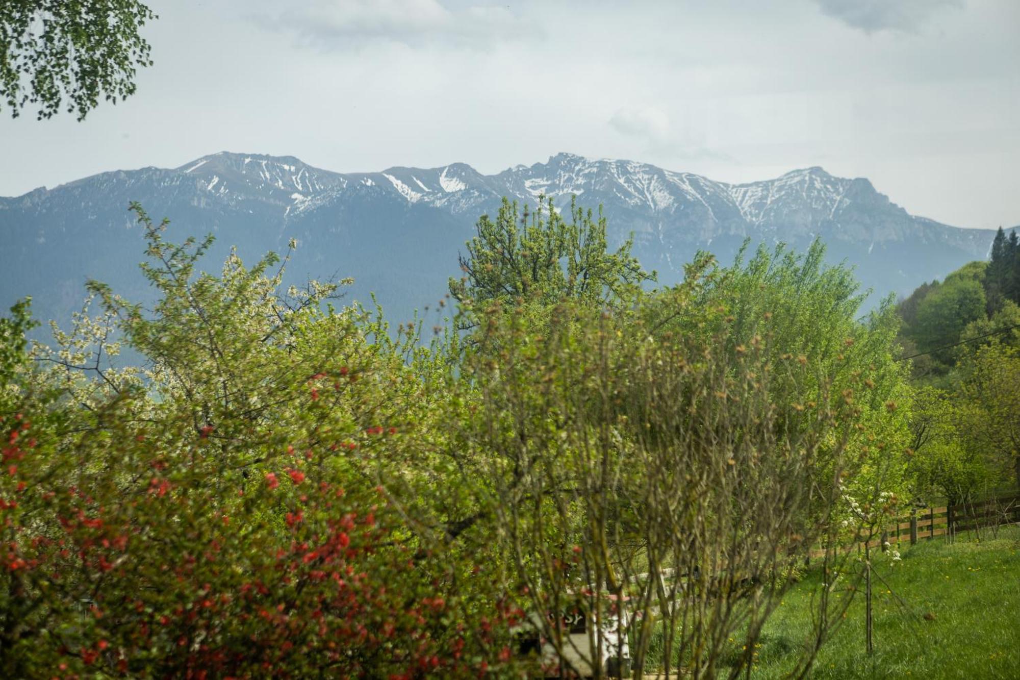 Villa Alba By Akasha Retreat برانْ المظهر الخارجي الصورة